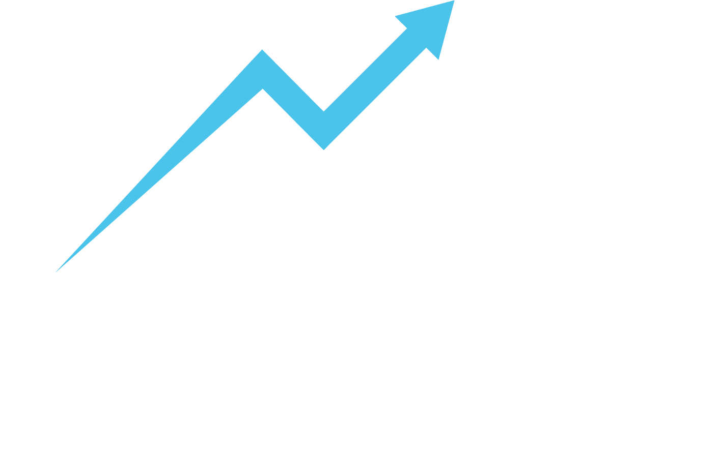 Everest Consultoría de Negocios